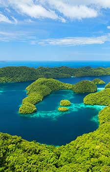 Poison Evidence Location